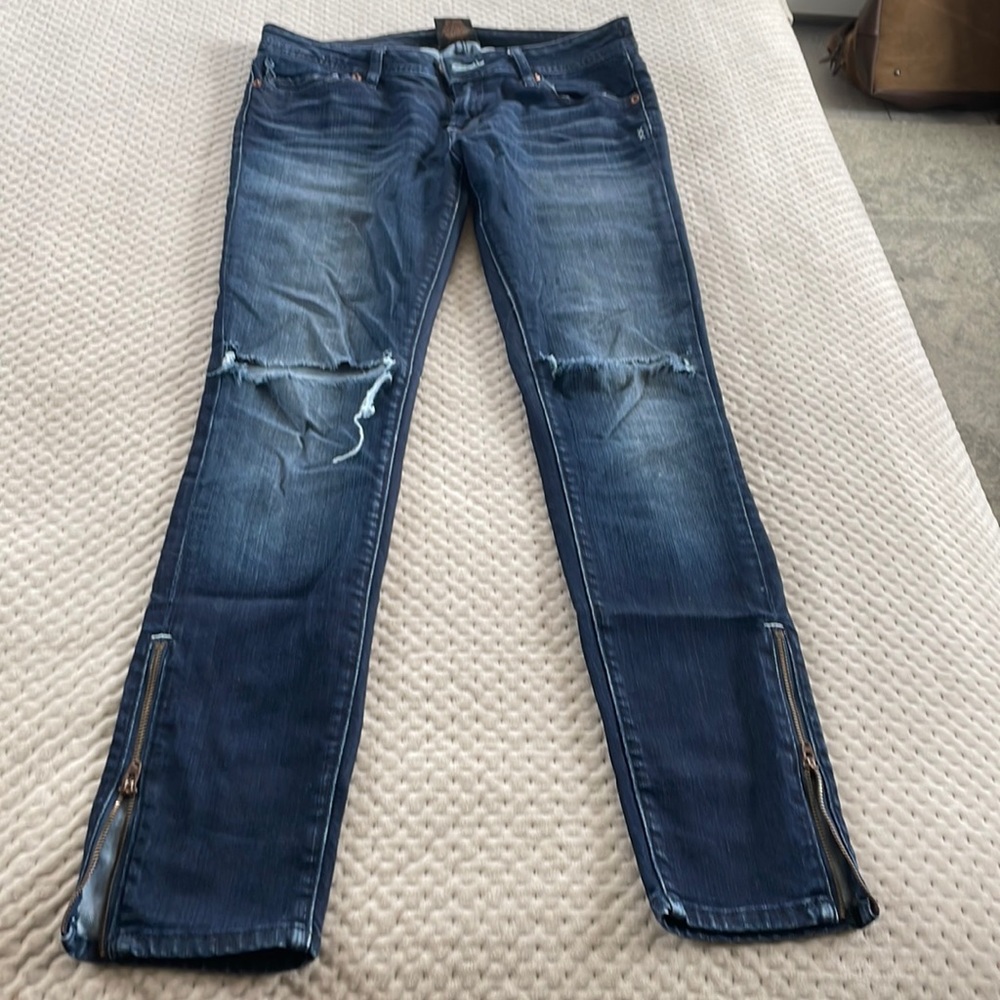 Genetic denim The James skinny zipper jean